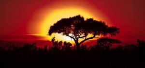 1280-africa-sunset
